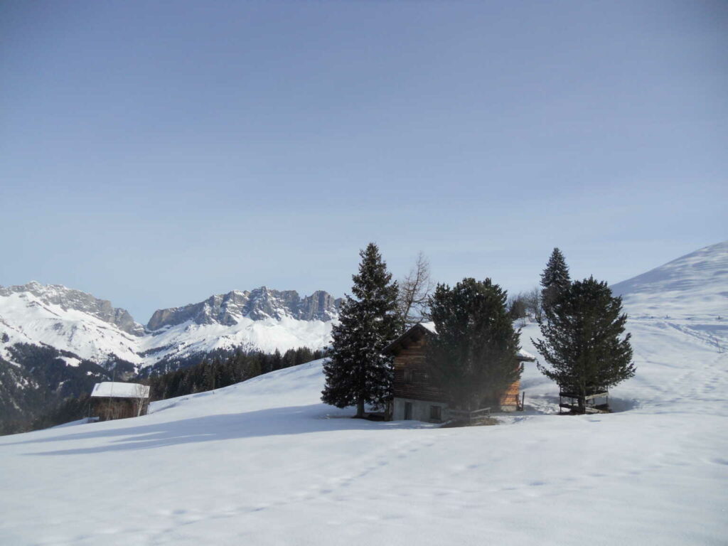 Ober-Altberg-Schneeschuhtrail (SS/C/WT2) Hansruedi Bachmann