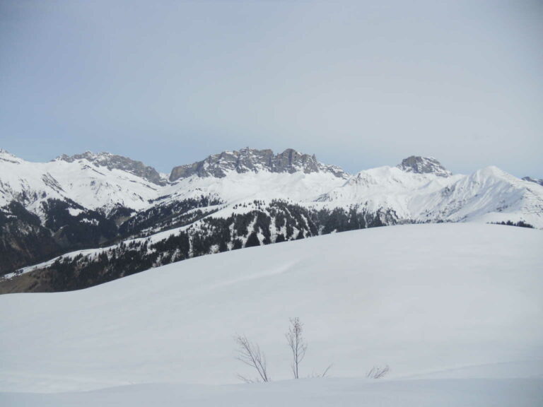 DSCN0173