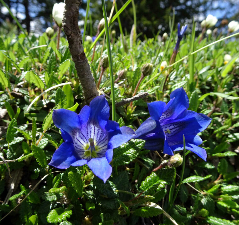 027