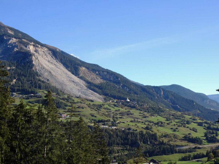 007