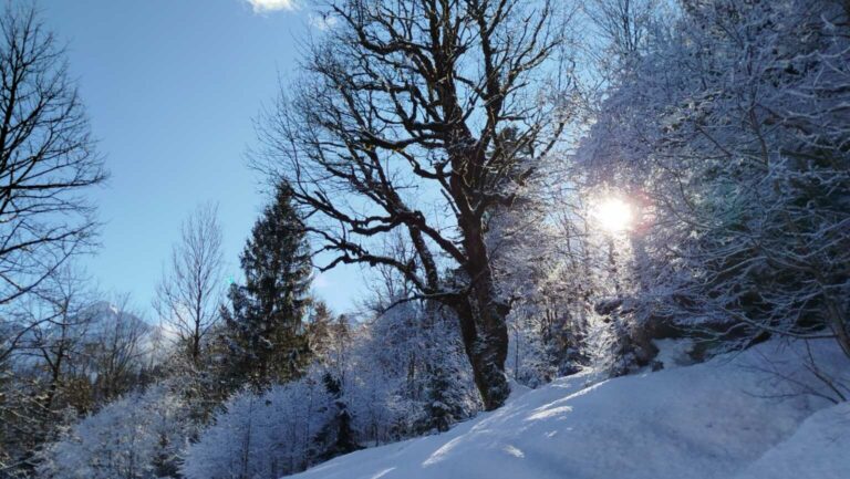 IMG_20250107_114149