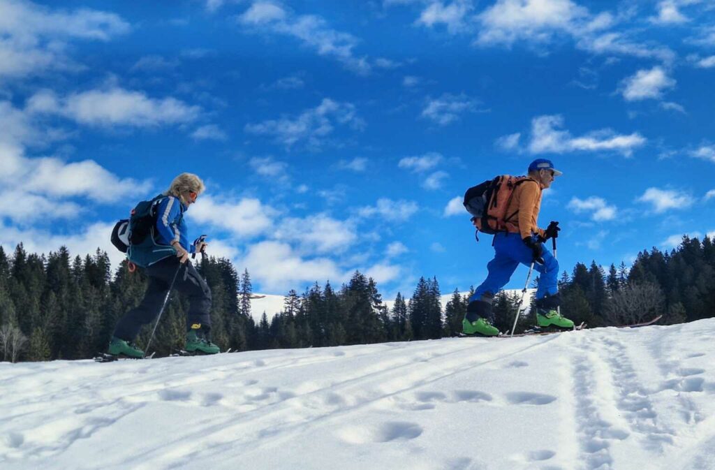 Leichte Skitour von Sattel ins Alptal (S/C/WS) Jörg Schwarz