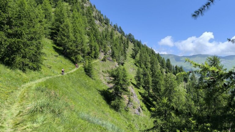 SAC_Piemont_20250618_002