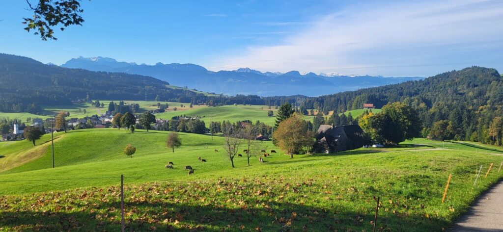 Ricken – Twerenalp – Atzmännig (W/C/T2) Olga Gremaud